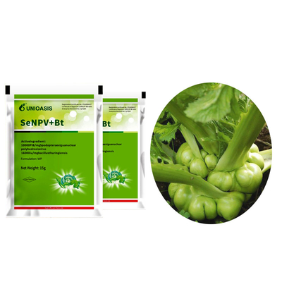 Active Ingredient Pest Virus And Bt Corn Kill Beet Armyworm Eggs Beet Armyworm Caterpillar