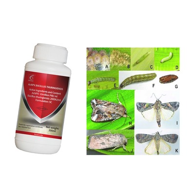 Effective Fall Armywrom Control Active Pests fall armyworm spodoptera frugiperda with 2 Years Shelf Life