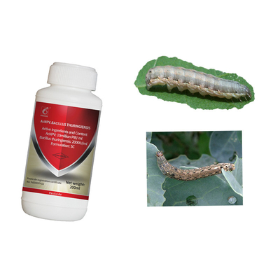 Keep Your Corn Healthy with Maize Crop Pesticides Liquid Formulation and 2 Years Shelf Life