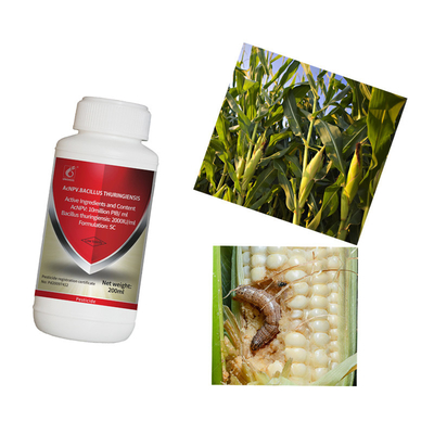 Keep Your Corn Healthy with Maize Crop Pesticides Liquid Formulation and 2 Years Shelf Life