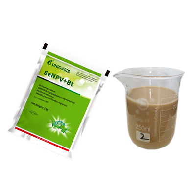 Unbeatable Fall Armyworm Control in Maize Liquid Formulation for Effective Larval Stage Management