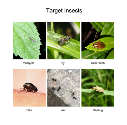 Pyrethrin Internationally Recognized the Safest Pollution-free Natural Insecticide for Mosquitoes Flies Control