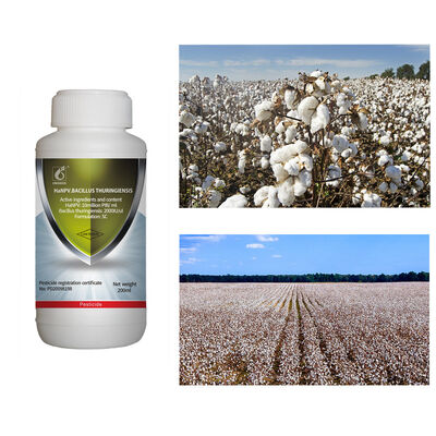 No Residue Biological Insecticide with 16000 IU/mg Active Content Compatible With Most Fertilizers for Organic Farming