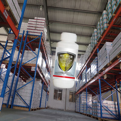 Unioasis HaNPV Bt Bollworm Killer Biological Insecticide for Cotton Pest Control with 16000 IU/mg Active Content and No Residue