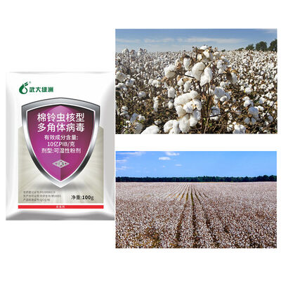 No Residue Biological Insecticide Approved By Authorities for Safe Pest Management in Organic Farming