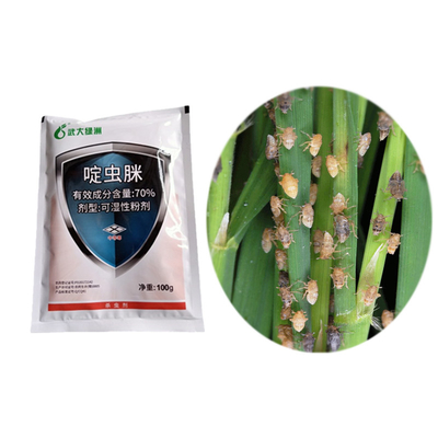Biochemical Organic Plants Pesticides In Rice 70% Acetamiprid WP Control Aphids