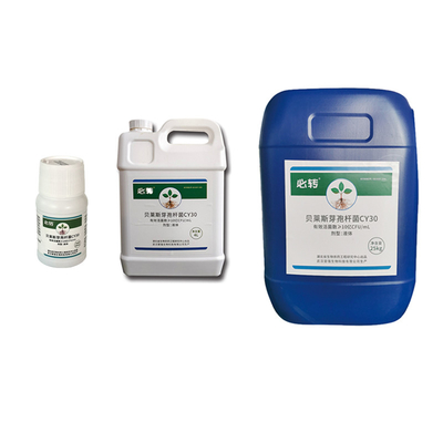 Fertilizer CY30 Bacillus Velezensis Cure Crop Black Spot Pear Rust Fungicide