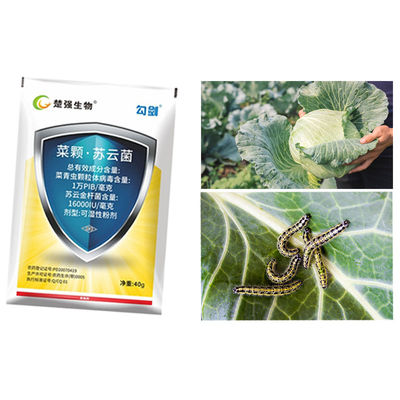 Non-Residue Eco-Friendly PrGV.Bt Biological Pesticide Effective Against Plutella xylostella for Organic Farming