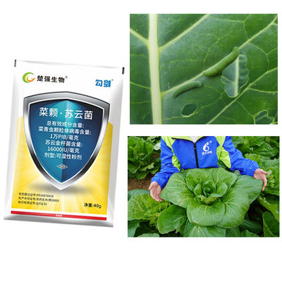 PrGV+Bt Biological Pesticide - Natural Vegetable Insecticide with 10000 PIB/mg PrGV+16000IU/mg Bt for Plutella xylostella, Eco-Friendly Organic Pest Control Spray