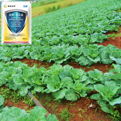 100% Natural Organic Biological Insecticides PrGV and Bt Ecological Farm Pesticide Powder Formulation