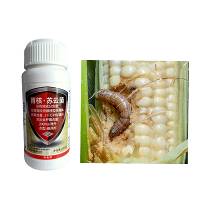 Protect Your Maize Crop Pre Emergence Maize Crop Pesticides With This Systemic Liquid Pesticide