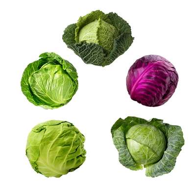 PD20097412 AcNPV Organic Agriculture Biological Pesticide For Brassicaceous Vegetable