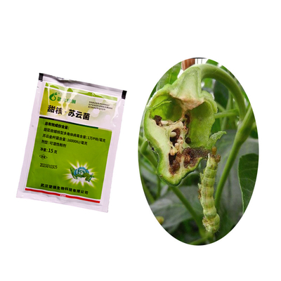 Natural bioinsecticide sprays for Maize Crops biopesticides used for management of maize