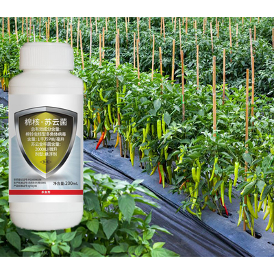 ECO Friendly Natural Organic Cotton Pesticide SC Biological Cotton Pesticide