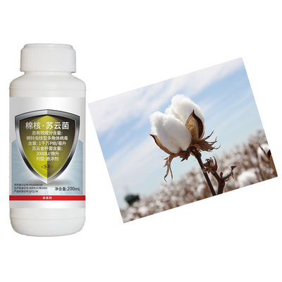 Insecticide Bio Bacillus Thuringiensis For Safe Natural Pest Prevention In Cotton Tobacco Chili Plants