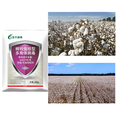 OEM HaNPV Soybean Pesticides Spray Liquid Onion Maggot High Efficiency Insecticide