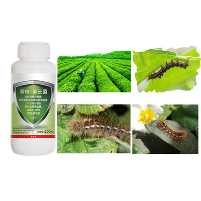 Certified Natural Organic Pesticide Insecticide for Tea Trees to Kill Tea Geometrid and Eco-Friendly Pest Control