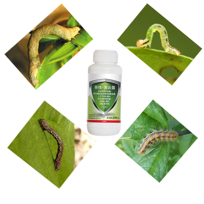 Green Tea Tree Pest Bio Pesticide EoNPV Outstanding Resistance to Drug Resistance Stubborn Pests