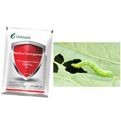 Bacillus Thuringiensis Pesticide Bt WP Insecticide with 16000 IU/mg for Lepidoptera Pest Control in Organic Farming