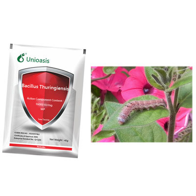 Bacillus Thuringiensis WP Bt Cotton Pesticide 16000 IU/mg Organic Helicoverpa Armigera Control
