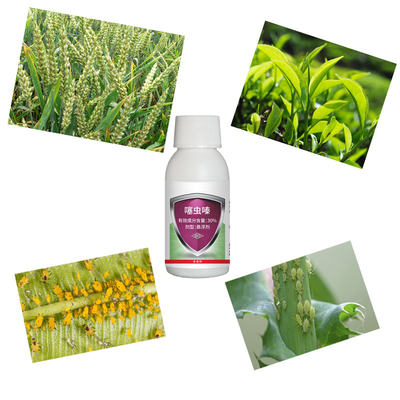 30% Thiamethoxam SC effective to Agriculture insects Rice Planthopper Agrochemical Natural Rice Insecticides