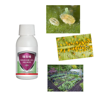 Liquid Chemical Agriculture Insecticide 30% Thiamethoxam Pesticide Spray Aphid Killing Cabbage Root Fly Insecticide