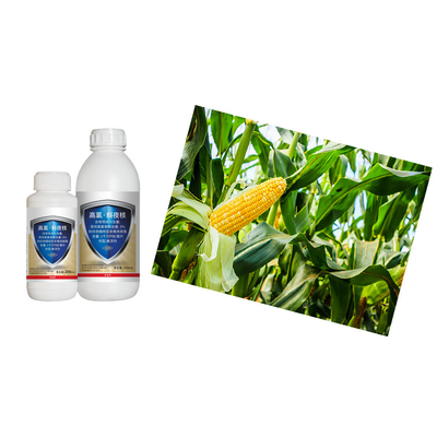 Bacillus Thuringiensis Chilli Thrips Insecticides For Stem Borer In Rice Bio and Chemical Beta Cypermethrin