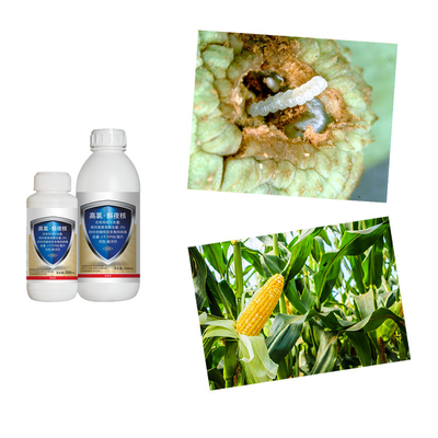 Bacillus Thuringiensis Chilli Thrips Insecticides For Stem Borer In Rice Bio and Chemical Beta Cypermethrin