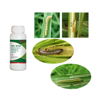 Acaricide Biological Nematicides 16% Triazophos 16% Chlorpyrifos Organophosphate Pesticide