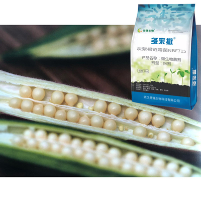 Duolaisa Streptomyces NBF715 biotechnology Biological Fertilizer Kill Soil Nematodes And Eggs