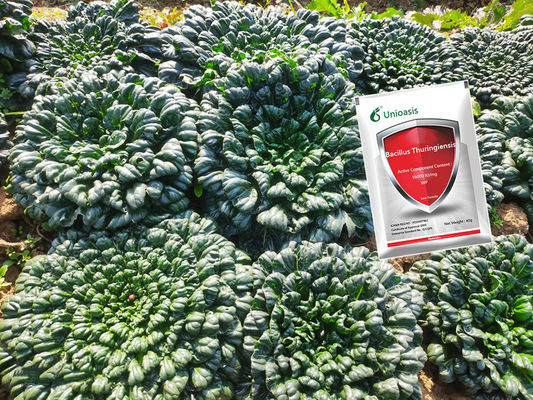 Non Toxic Bacillus Thuringiensis Insecticide with 16000 IU/mg for Wide Insecticidal Spectrum Pest Control