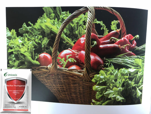Pure Biological Powder 16000 IU/mg BT Factory Direct Sell Control Vegetables Rice Corn Pests