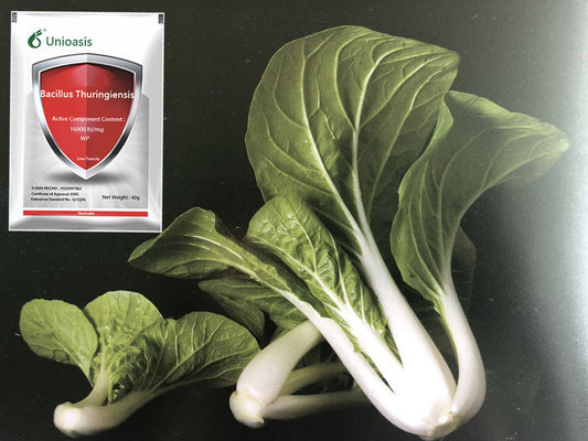 Organic Bacillus Thuringiensis Insecticide 16000 IU/mg Bt WP Spray for Lepidoptera Pest Control in Vegetables