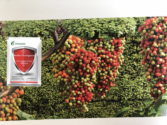 Pesticide manufacturer 16000IU/mg bacillus thuringiensis for vegetable maize cotton rice use