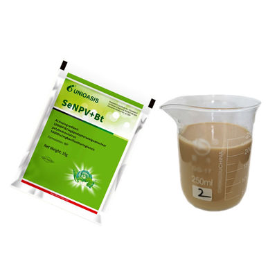 Organic Certified SeNPV Biological Insecticide with Long-lasting Effect for Resistance Management in Brassicaceous Vegetables