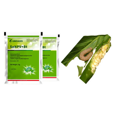 Organic Pesticide with 10000 PIB/mg SeNPV+16000IU/mg Bt for Beet Army Worm Control - Certified Biological Insecticide