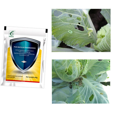Pesticide PrGV Bt Safe Cauliflower Insect Beet Night Moth Pests Killing Suspension Concentrate