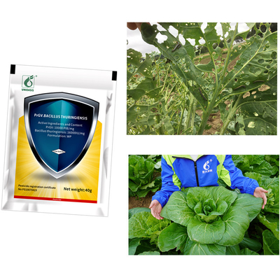 100% Natural Organic Biological Insecticides PrGV and Bt Ecological Farm Pesticide Powder Formulation