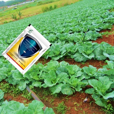 Natural Organic Insect Viral Pesticide PrGV &Bt WP for Vegetable Pieris Rapae Granulosis Virus NPV Biopesticide