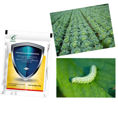 PrGV 0.2% Bt Biological Vegetable NPV Insecticides Kill Tomato Plant Bug Cabbage Worm