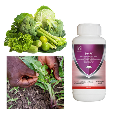 Biological Whitefly Tomato Insecticide Pure SeNPV Organic Pesticide Pest killing For Tomatoes