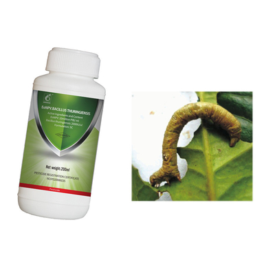 Safe Low Toxic Biological Insecticides EoNPV + Bacillus Thuringiensis  For Agriculture Crops