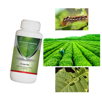 Safe Low Toxic Biological Insecticides EoNPV + Bacillus Thuringiensis  For Agriculture Crops
