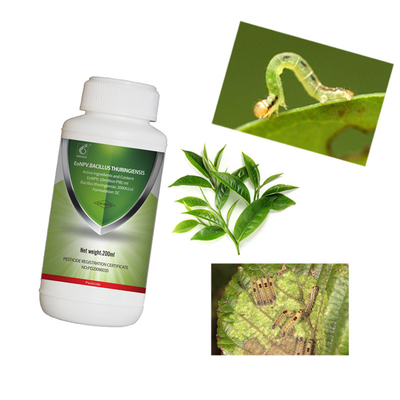 All Purpose Insecticide Insect Killer For Vegetable Plants EoNPV & Bt SC