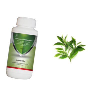 Organic Tea Tree Insecticide with 10 Million PIB/mL EoNPV+2000IU/uL Bt for Safe Outdoor Use Against Tea Geometrid Fly