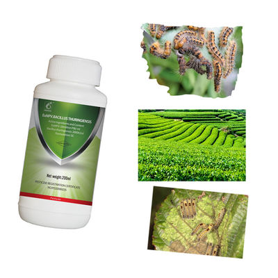 Organic Tea Tree Insecticide with 10 Million PIB/mL EoNPV and 2000 IU/μL Bt for Effective Pest Control