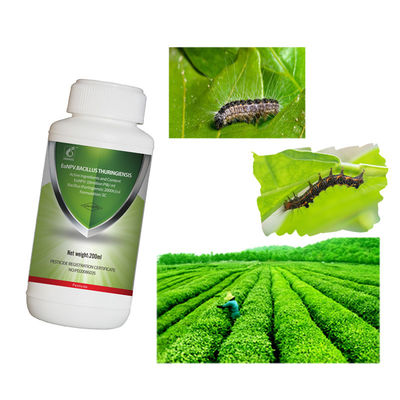 Organic Tea Tree Insecticide with 10 Million PIB/mL EoNPV and 2000 IU/μL Bt for Effective Pest Control
