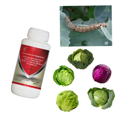 Maize Biological Insecticides Insect Resistant Corn Borer Pesticide AcNPV + Bacillus Thuringiensis