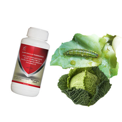 Organic Certified Microbial Pesticide with No Residue for Brassicaceous Vegetables - 10 million PIB/mL AcNPV + 2000IU/mL Bt Biological Insecticide