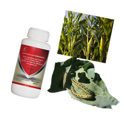Organic Certified Microbial Pesticide with No Residue for Brassicaceous Vegetables - 10 million PIB/mL AcNPV + 2000IU/mL Bt Biological Insecticide